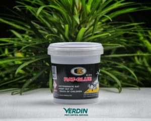 Bosny Sticky Rat Glue