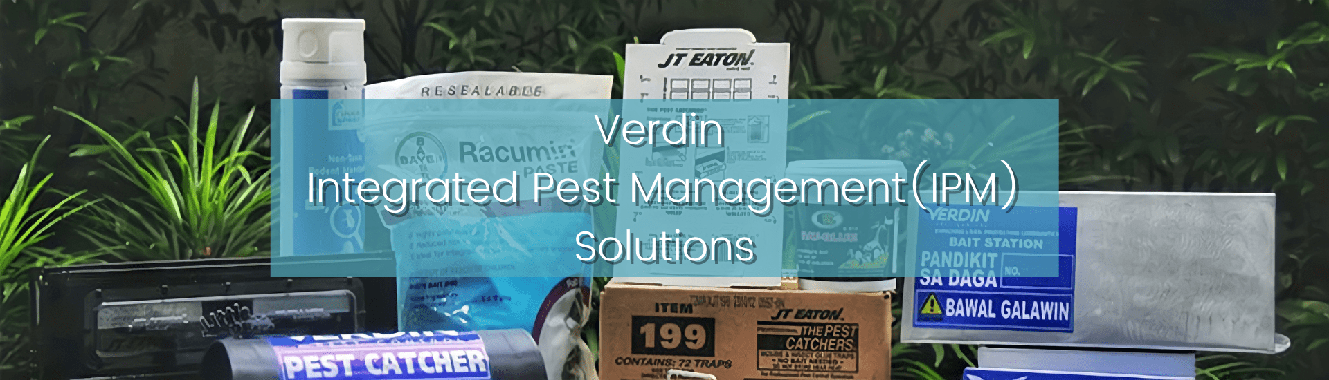 ELAINE- 34 BANNERS (19) (3)