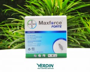 Maxforce Forte cockroach gel bait