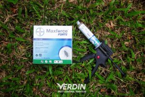 Maxforce Forte cockroach gel bait