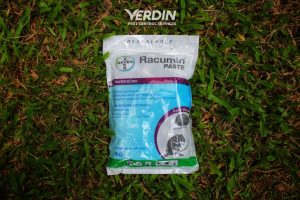 Racumin paste rodenticide