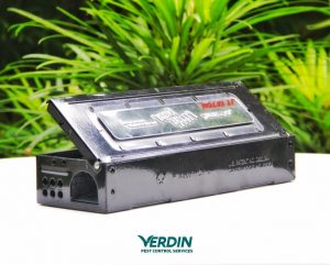 Repeater multiple catch mouse trap