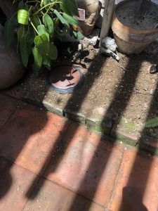 UNADJUSTEDNONRAW_thumb_11b7