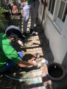 UNADJUSTEDNONRAW_thumb_11be