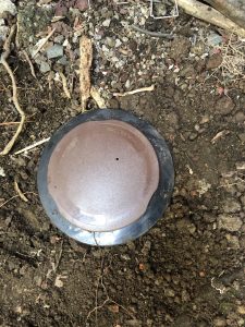 UNADJUSTEDNONRAW_thumb_11bf