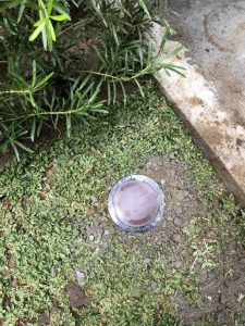 UNADJUSTEDNONRAW_thumb_1330