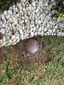 UNADJUSTEDNONRAW_thumb_1332