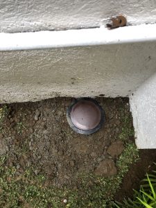 UNADJUSTEDNONRAW_thumb_1333