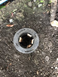 UNADJUSTEDNONRAW_thumb_134