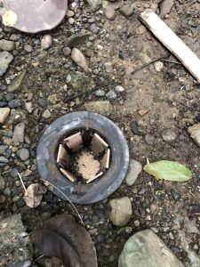 UNADJUSTEDNONRAW_thumb_13d