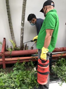 UNADJUSTEDNONRAW_thumb_15b4