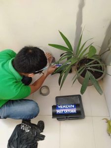 UNADJUSTEDNONRAW_thumb_17d9