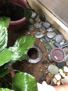 UNADJUSTEDNONRAW_thumb_1a89