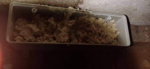 UNADJUSTEDNONRAW_thumb_1afe