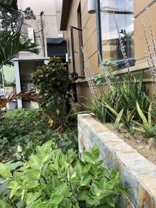 UNADJUSTEDNONRAW_thumb_1c1b