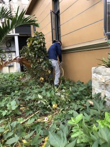 UNADJUSTEDNONRAW_thumb_1c1d