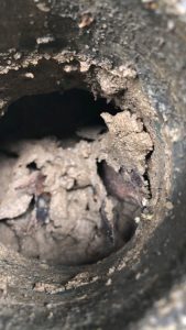 UNADJUSTEDNONRAW_thumb_1c8e