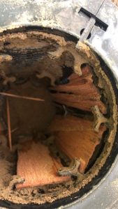 UNADJUSTEDNONRAW_thumb_329