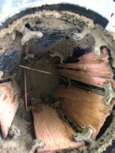 UNADJUSTEDNONRAW_thumb_32f