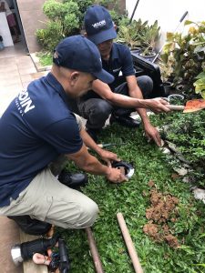 UNADJUSTEDNONRAW_thumb_a6f