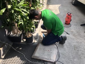 UNADJUSTEDNONRAW_thumb_cc9