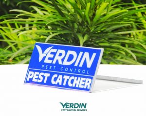Verdin Roaches Mice Glueboard Station